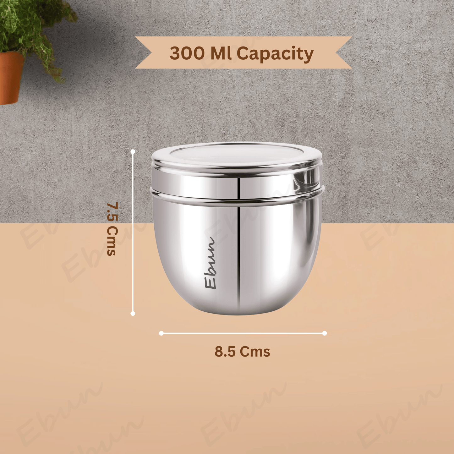 Ebun Stainless Steel Top See Though Containers