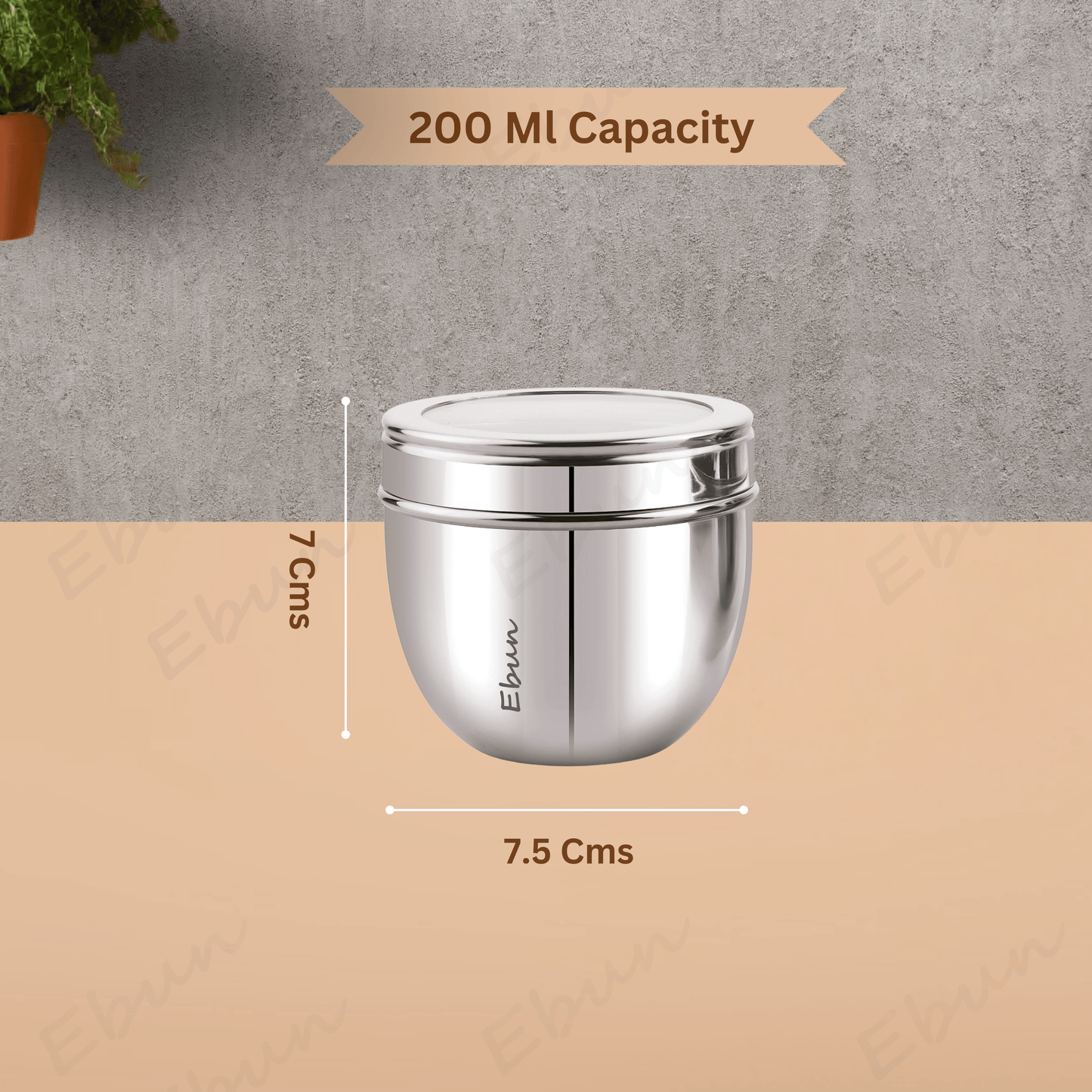 Ebun Stainless Steel Top See Though Containers