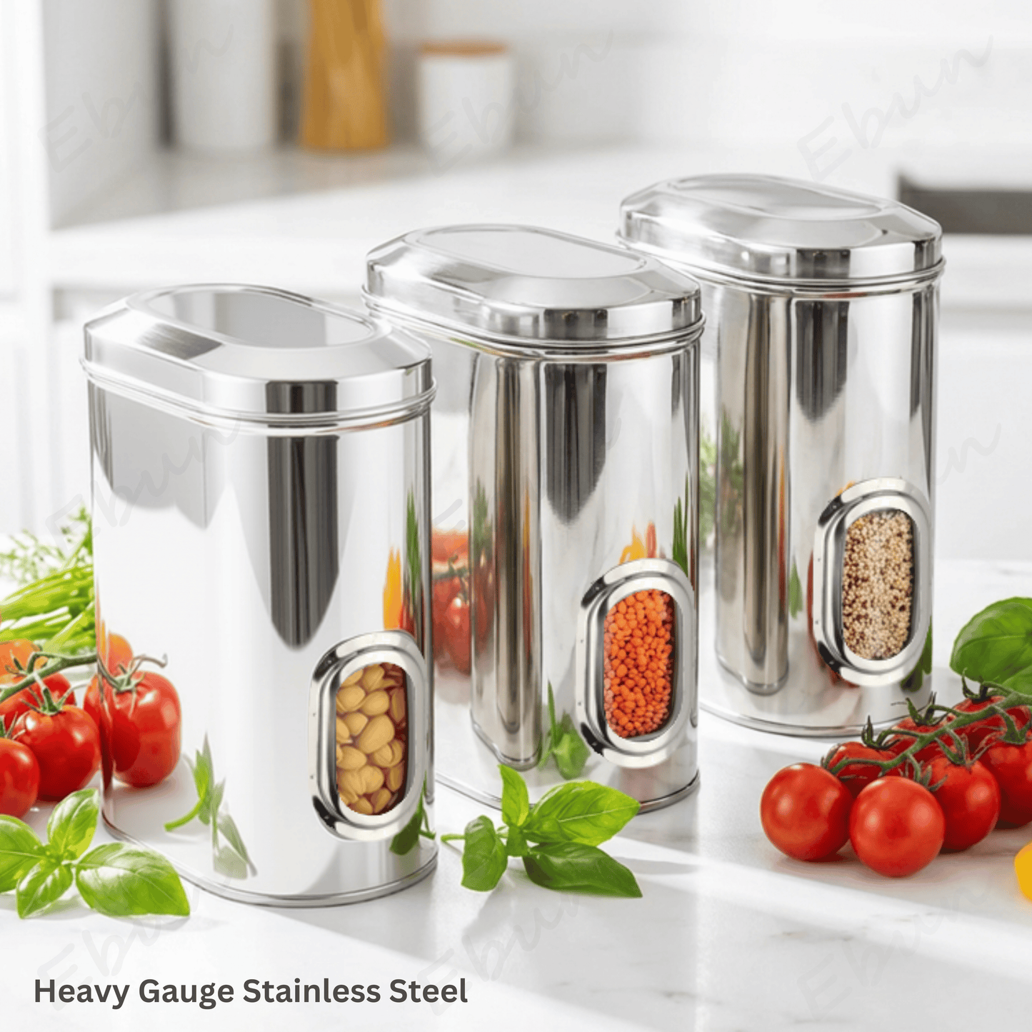 Ebun Stainless Steel Capsule Shape See Through Containers - 2 Kgs Capacity