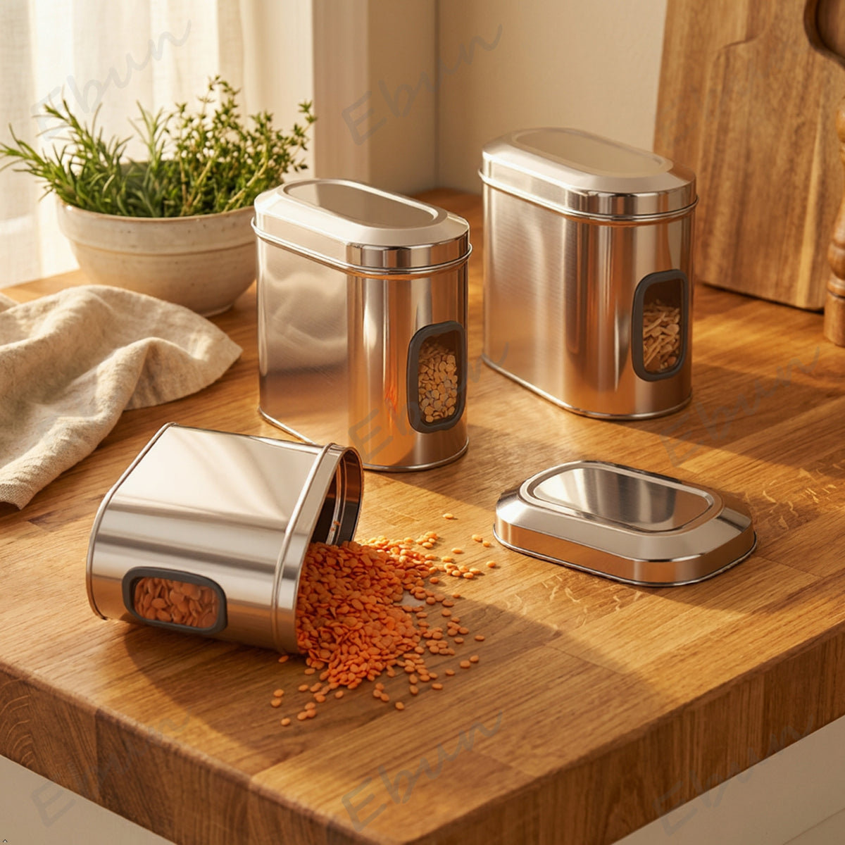 Ebun Stainless Steel Capsule Shape See Through Containers - 1.5 Kgs