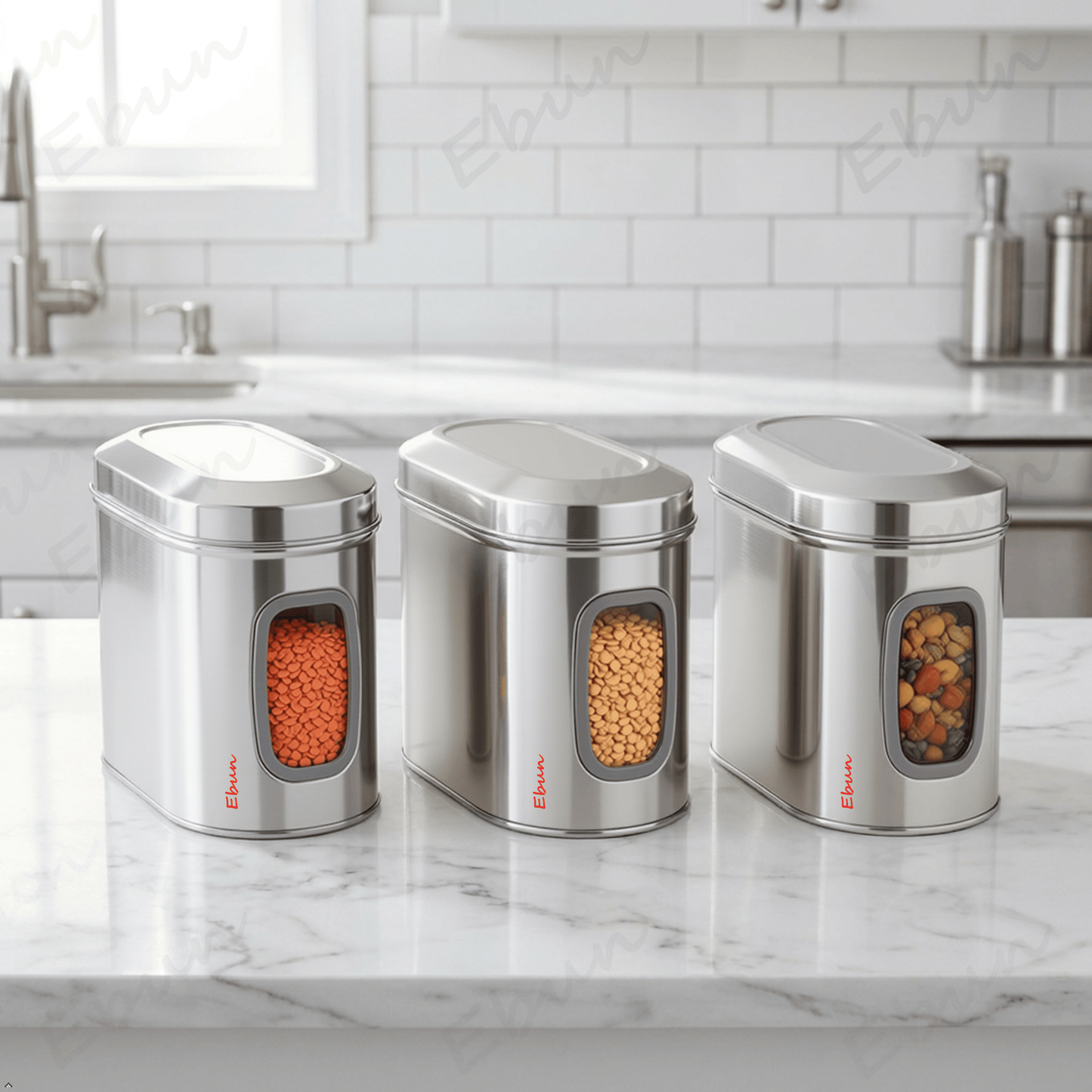 Ebun Stainless Steel Capsule Shape See Through Containers 1 Kgs - Pack of 6