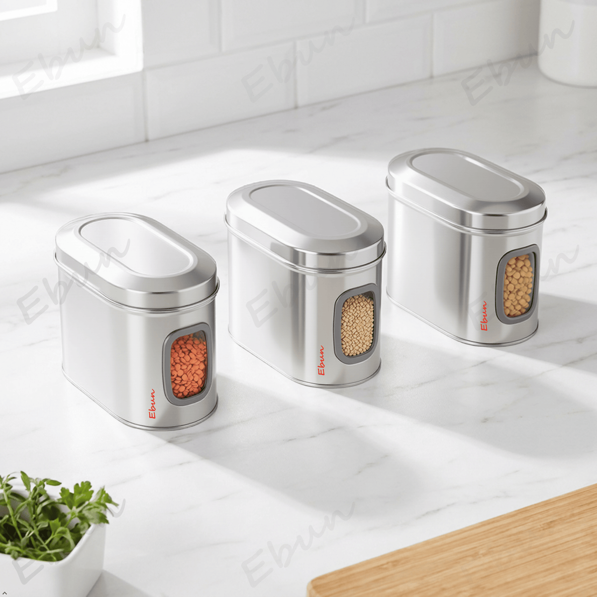 Ebun Stainless Steel Capsule Shape See Through Containers 1 Kgs - Pack of 6