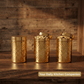 Ebun Stainless Steel Gold PVD Plated Containers 500 Gms Capacity - Pack of 3