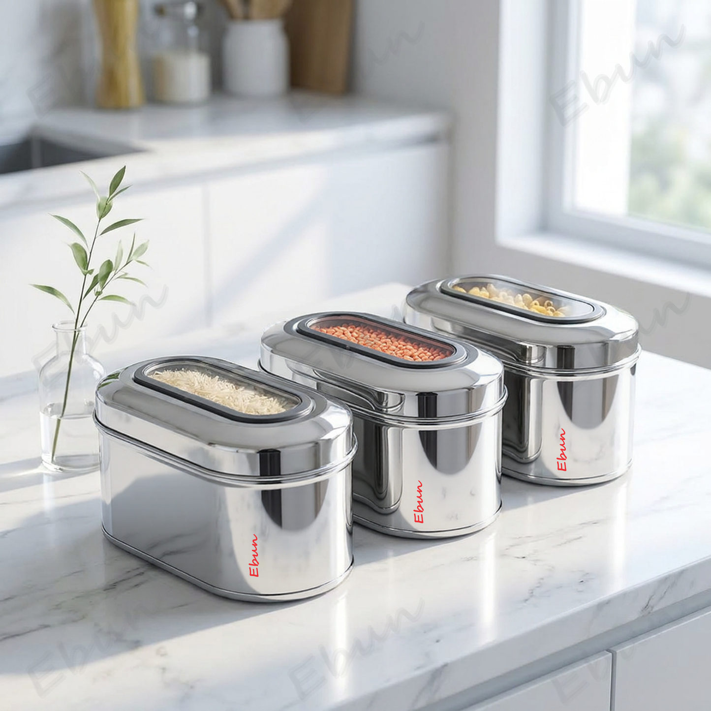 Ebun Stainless Steel Capsule Shape Top See Through Containers - 750 gms
