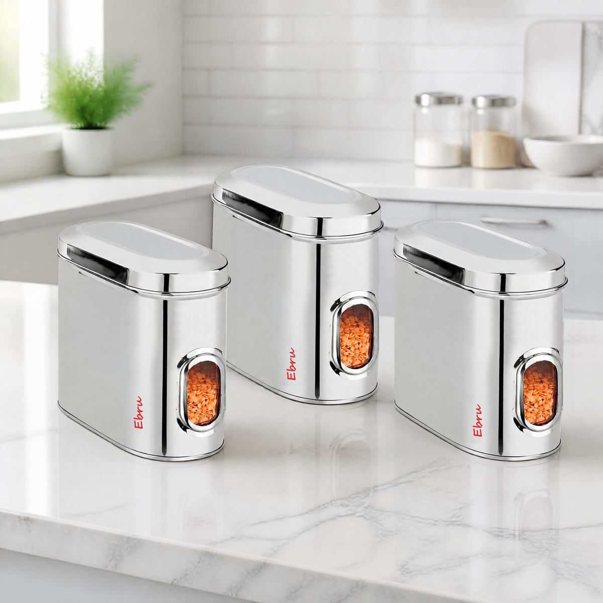Ebun Stainless Steel Capsule Shape See Through Containers - 2 Kgs Capacity