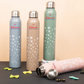 Ebun Stainless Steel Water Bottle for Kids and Adults (Set of 4) - 700 Ml